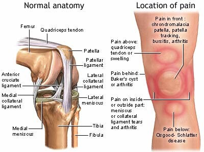 Person doing physiotherapy exercises for knee recovery